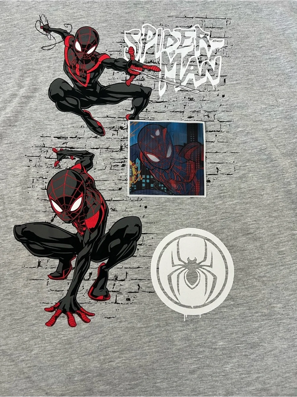 Marvel Spider-Man Boys 14/16 Gray 2pc Graphic T-Shirt & Shorts Set